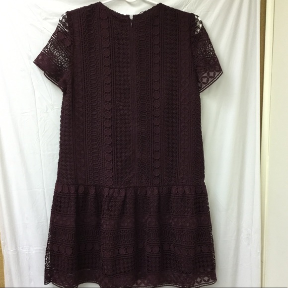 Lace Dress - Picture 4 of 4